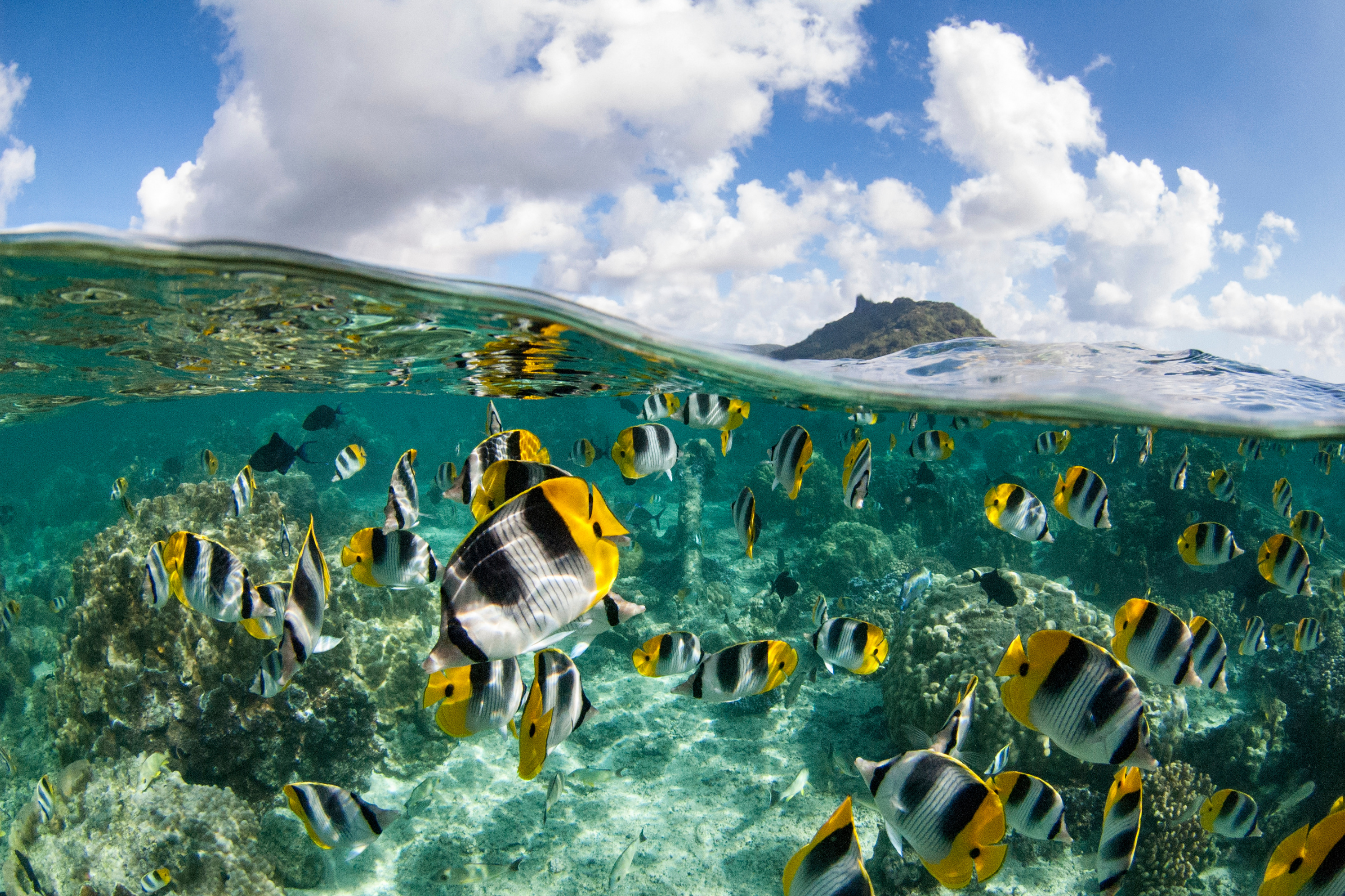 kiribati (3).webp